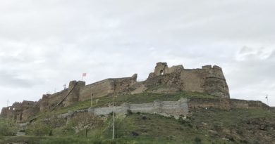 Visita a la Fortaleza de Gori (Georgia)